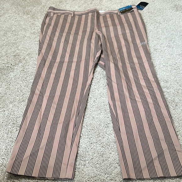 Worthington Iva Stripe Slim Ankle Pants Women Sits Lower On Waist Size 16 - Picture 2 of 7